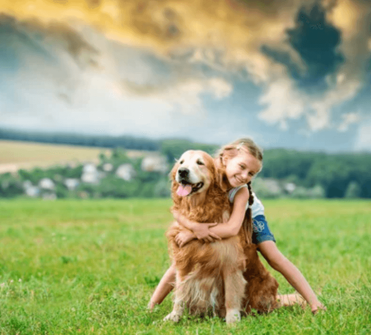 Pet Allergy Care & treatment Near Me